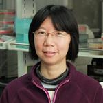 Claire Xi Zhang